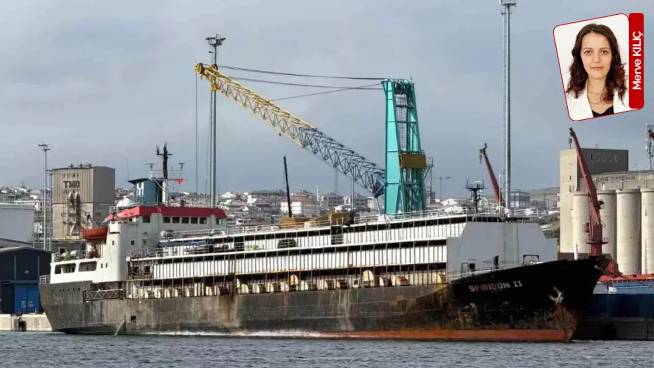 Bandırma’da ‘ithal hayvan’ skandalı: ‘120 hayvan öldü, limanda ağır koku’