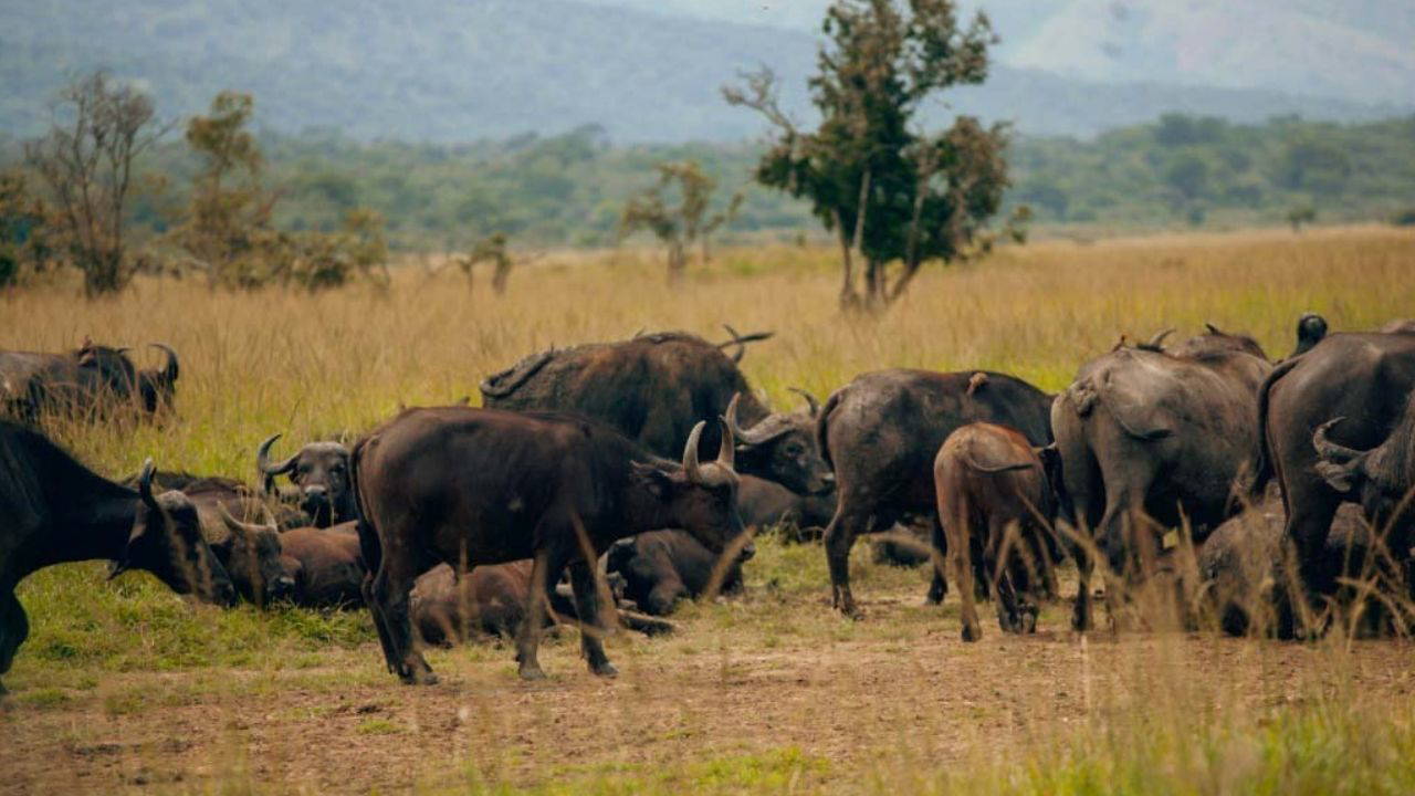 National Geographic dünyanın en iyi 25 rotasını açıkladı: Listede Türkiye'den de yer var