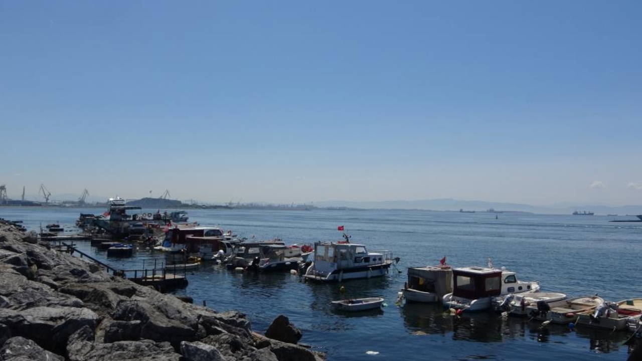 İstanbul'da oltaya köpek balığı takıldı
