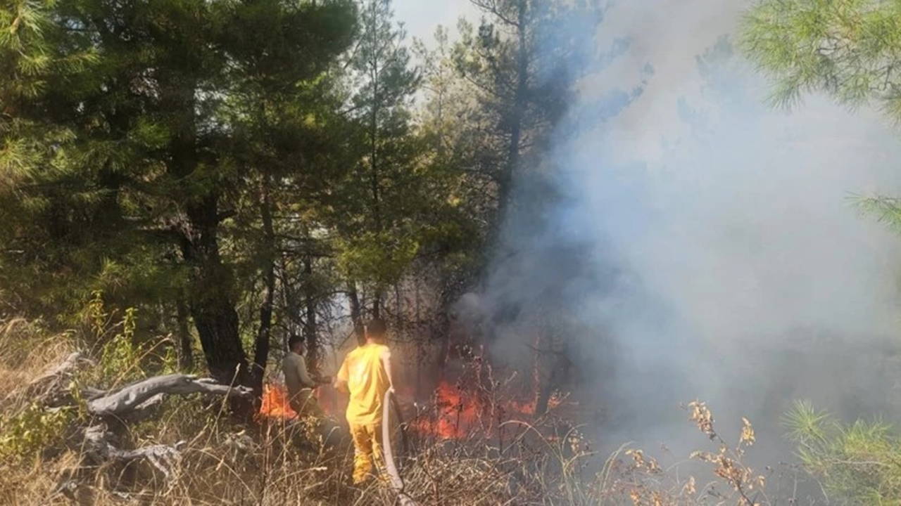 Denizli'de orman yangını! Müdahale sürüyor!