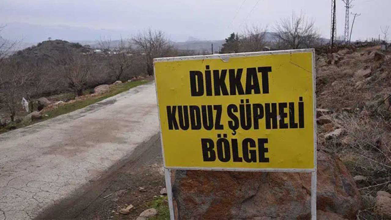 Siirt'te kuduz şüphesi: Hayvan hareketlerine kısıtlama!