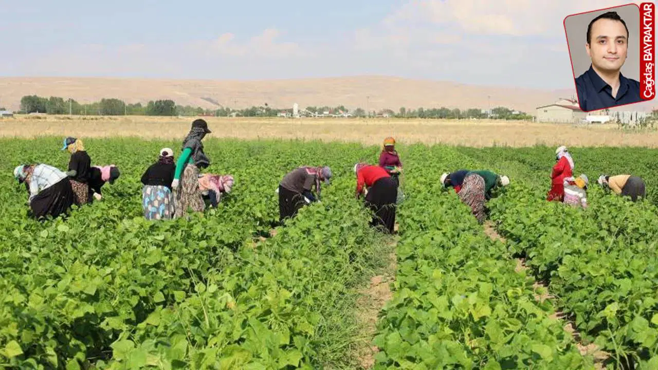 Tarım 2025’i kayıpla kapattı: İktidar politikaları vurdu