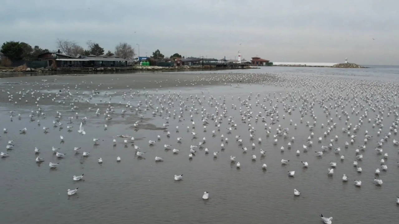Marmara'da tedirgin eden görüntü: Silivri ve Avcılar'da deniz metrelerce çekildi