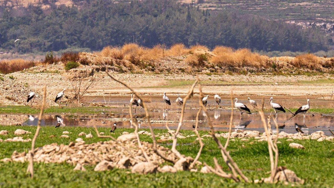 İzmir için acil su tasarrufu çağrısı