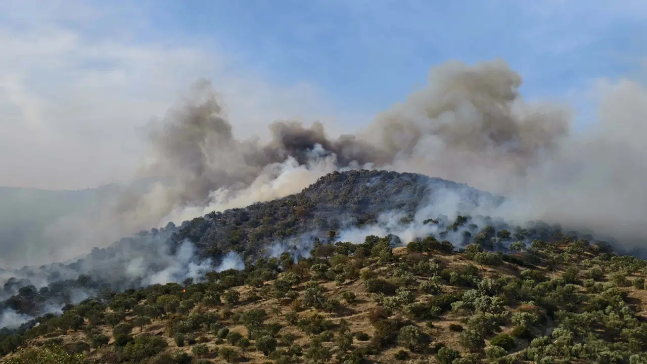 Son Dakika Haber Görseli