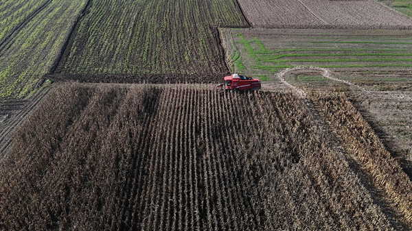 Bolu'da hasat başladı:  'Verim oranı düşük'