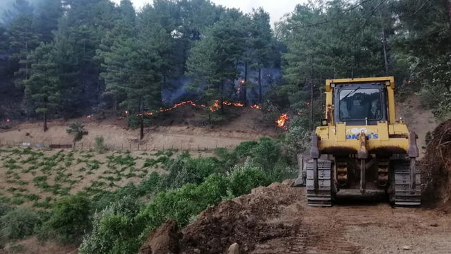 Şakalaşırken ormanı yakmıştı
