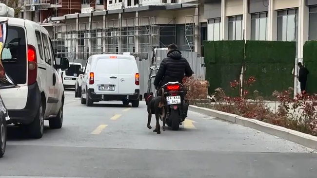 Köpeği motosikletle koşturdu, para cezasıyla kurtuldu