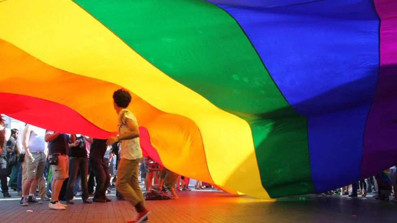 TTB'den 'Ailem Güvende' soruşturmasına tepki: 'LGBTİ+’ları hedef alan saldırı dalgası derhal son bulmalı'