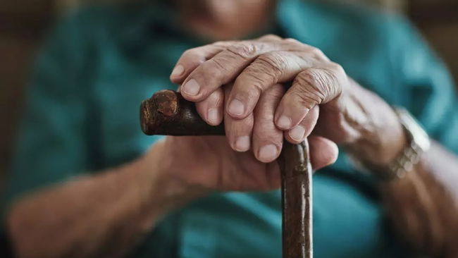 İPA çarpıcı verileri açıkladı