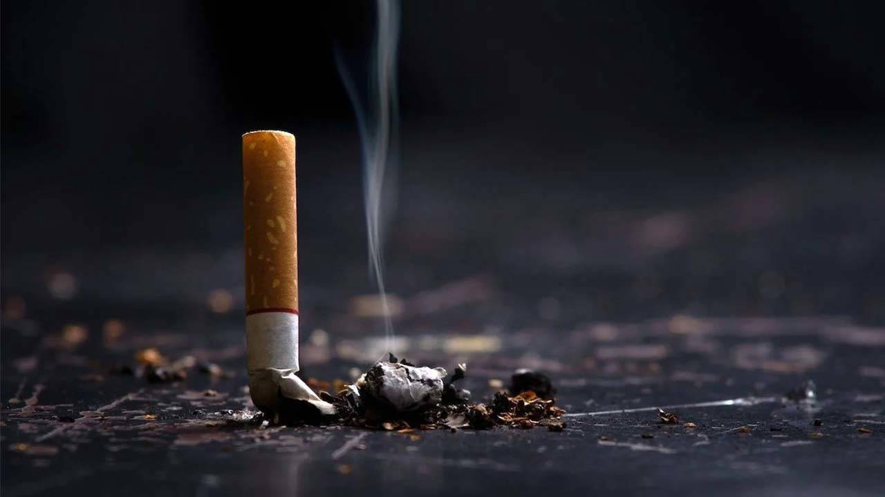 Dünya Sağlık Örgütü: Dünyada halen her 5 yetişkinden 1'i tütün bağımlısı