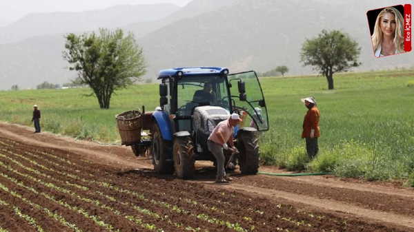 Çiftçiler Sendikası: Borç yoktur şartı çiftçiyi üretimden koparır