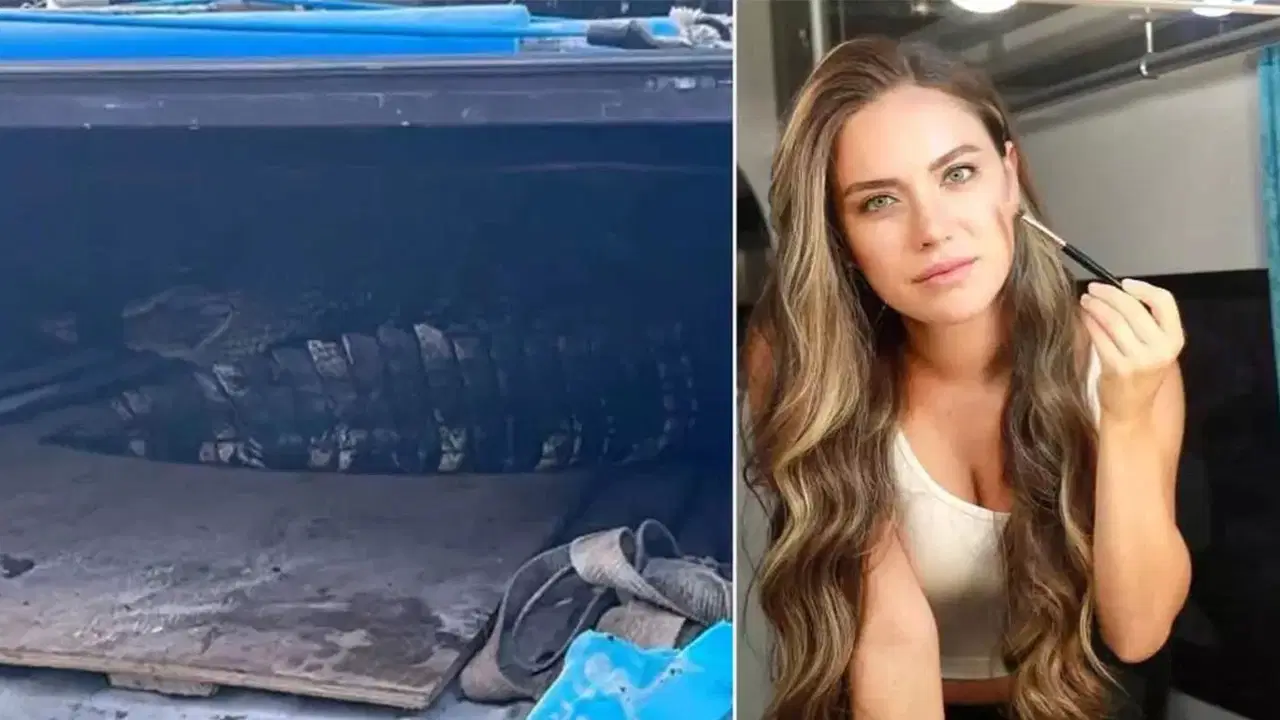 Ceyda Ateş’in sitesinde timsah paniği!