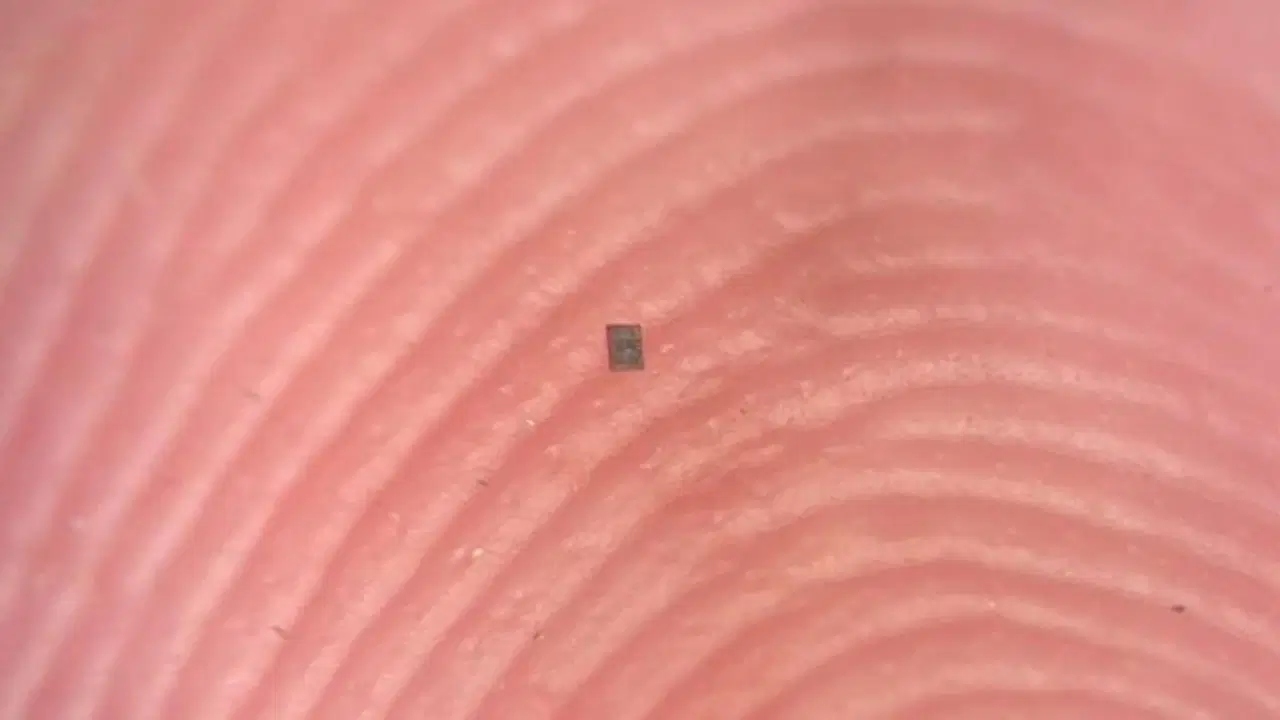 Dünyanın en küçük programlanabilir robotu geliştirildi