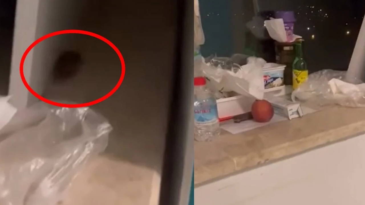 CHP Muğla Milletvekili Uzun, Eğitim ve Araştırma Hastanesi'ndeki fare skandalını Meclis'e taşıdı