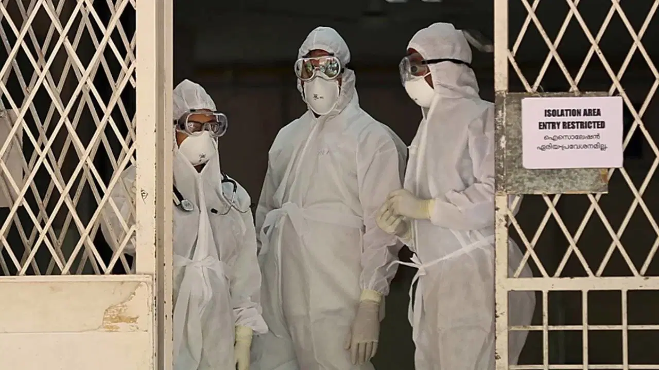 Yarasalardan bulaşan ölümcül virüse karşı uyarı!