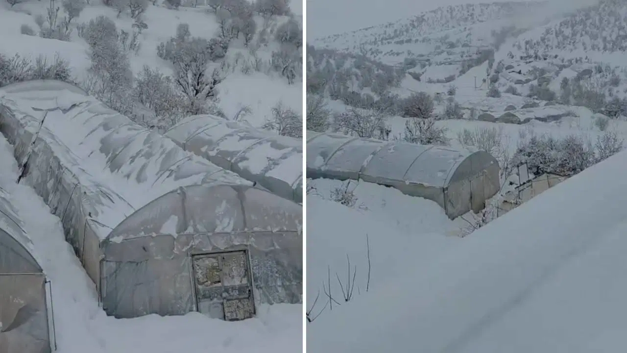 Siirt’i kar vurdu: Seralar çöktü, cami girişindeki çatı yıkıldı!