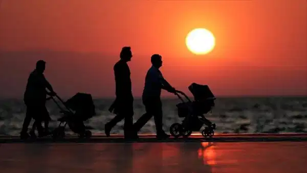 Türkiye'nin portresi değişiyor: Geniş aile kavramı tarih oluyor