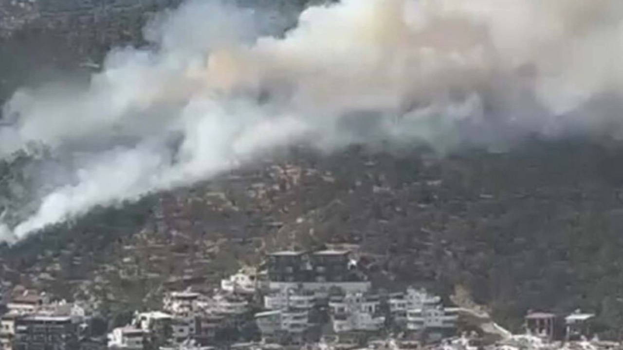 Balıkesir'de orman yangını