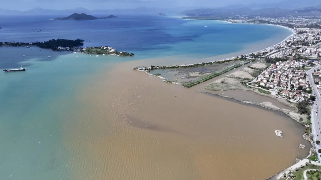Muğla'da şaşırtan görüntü: Denizin rengi kahverengiye döndü!