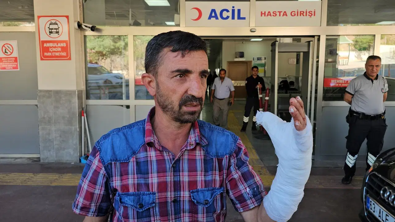 Şanlıurfa’da kurban kesimi sırasında 232 kişi yaralandı