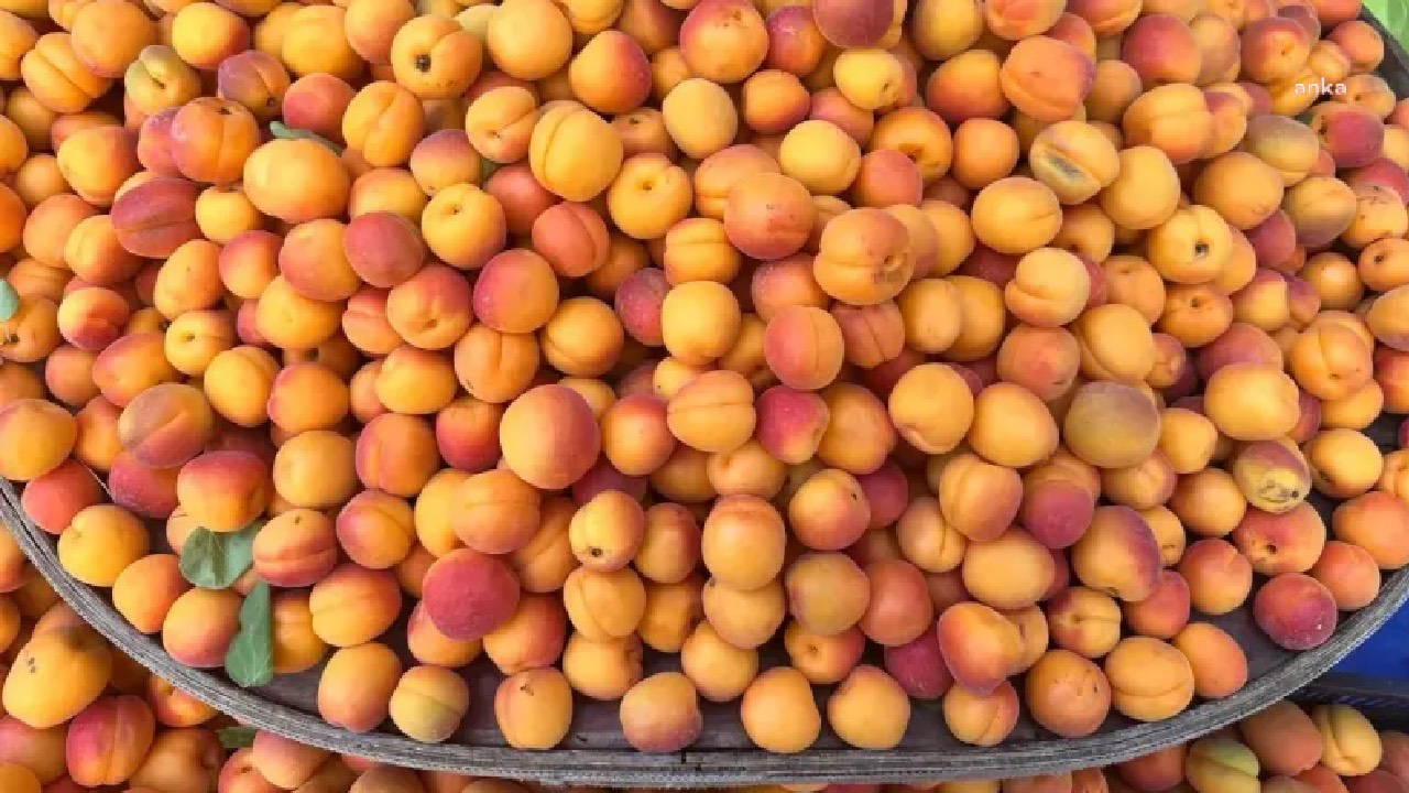 'Iğdır'da kayısı 1 TL, İstanbul'da 120 TL'ye satılıyor' paylaşımlarına inceleme