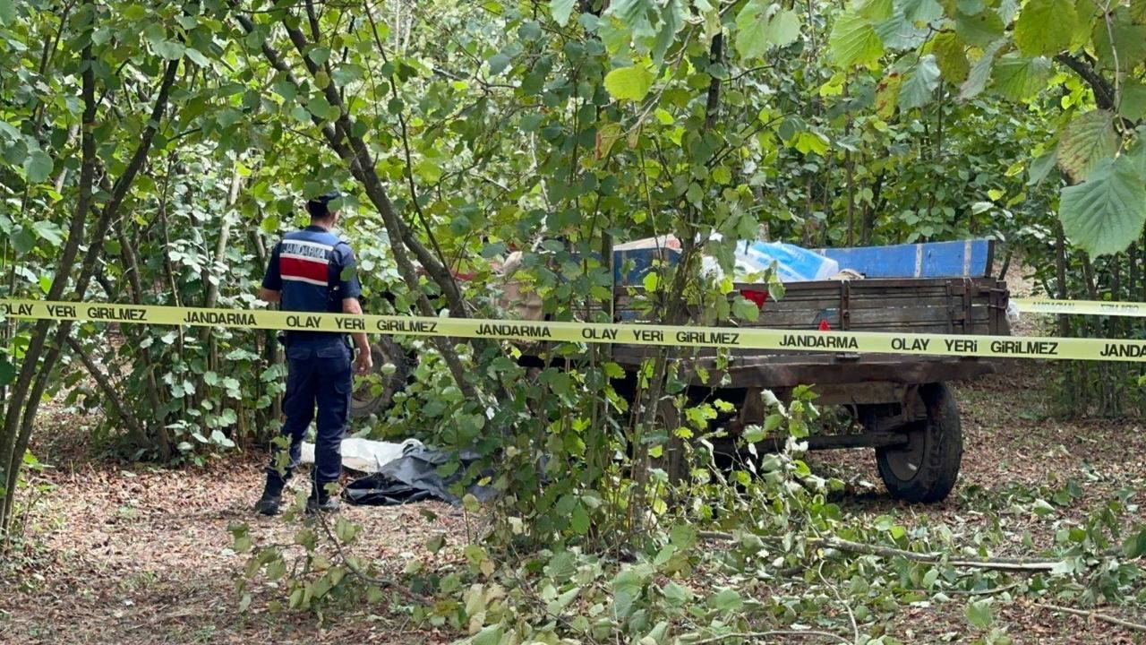 Traktörden düşüp teker ile ağaç arasına sıkışan sürücü öldü 