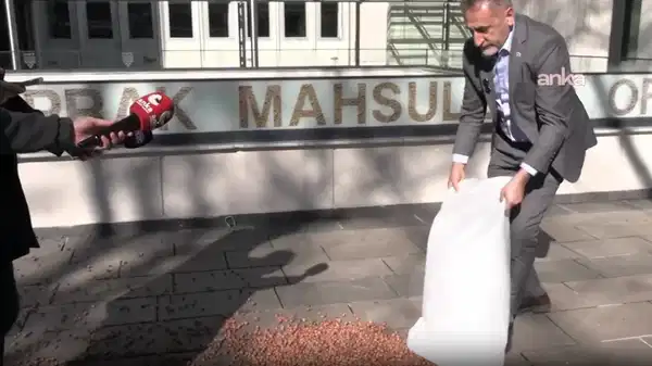 CHP’li Adıgüzel fiyatlara tepki için TMO önüne fındık döktü: 'Ferrero’ya değnekçilik yapıyorlar'