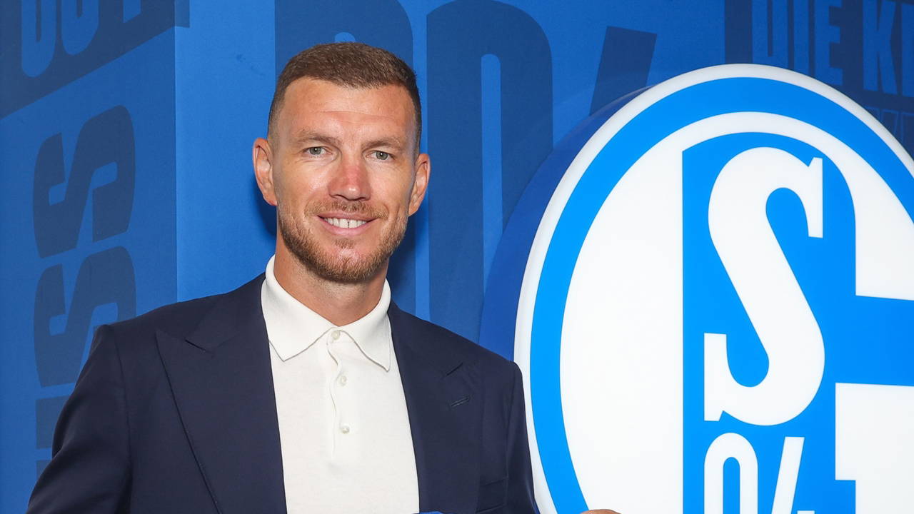 Edin Dzeko, Schalke'ye imza attı