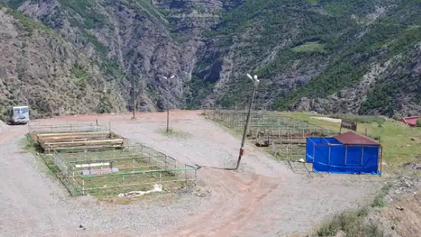Artvin'de kurban pazarı boş kaldı: Ne satıcı var ne de alıcı