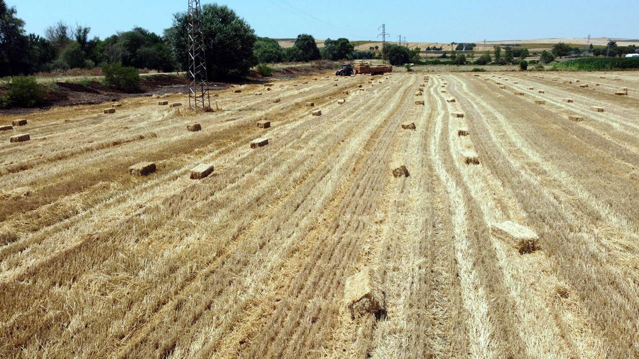 Tekirdağ'da 'orman yangınları' önlemi: Balya bağlanması ve açık alanda ateş yakılması yasaklandı