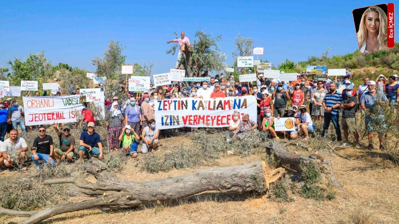 ‘Doğaya savaş açılıyor’
