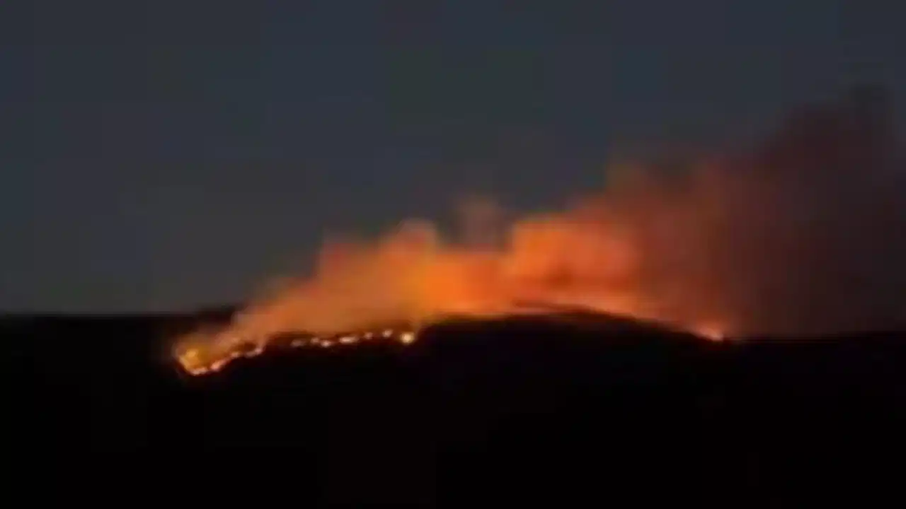 Çankırı'da orman yangını! Ekiplerin müdahalesi sürüyor