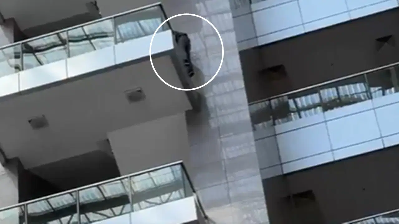 Özgür Özel, 'gizli tanığın' intihara kalkıştığını açıklamıştı: CHP'li Emir videosunu paylaştı