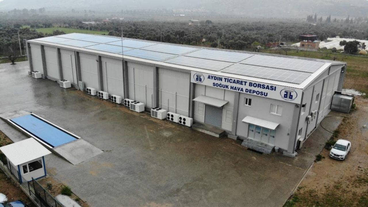 Kuru İncir üreticisine çifte destek