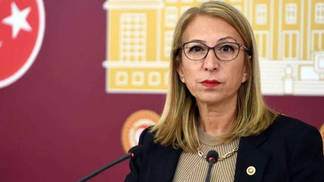 YENİ Parti Milletvekili Süreyya Öneş Derici, çerçeve yasaya 'hayır' oyu vereceğini açıkladı
