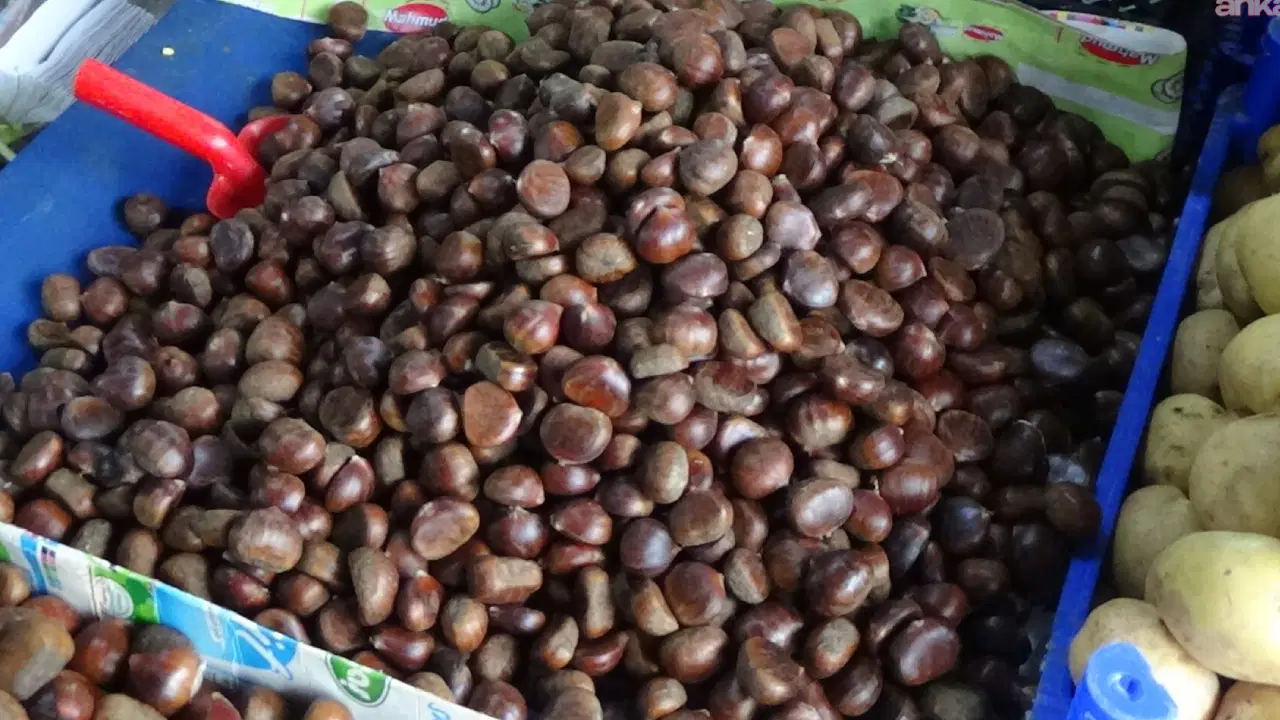 Kestanenin satış fiyatı cep yakıyor: 1 kilo alan kalmadı