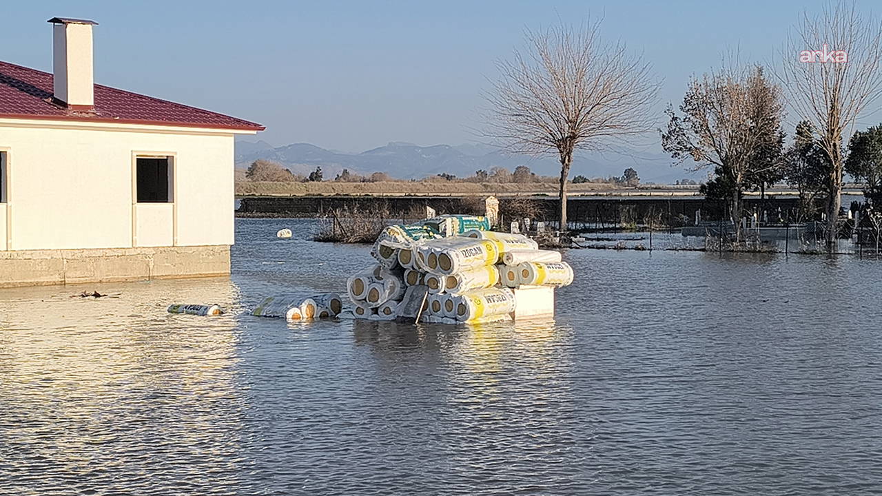 Osmaniye'de yağışların ardından deprem evlerini su bastı... Depremzede: 'Buradan köye kayıkla mı geçeceğiz?'