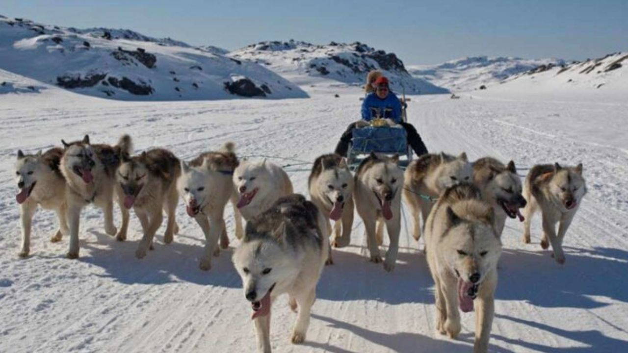 Grönland’da yaşam: Buzlarla kaplı adada bir yıl nasıl geçer?