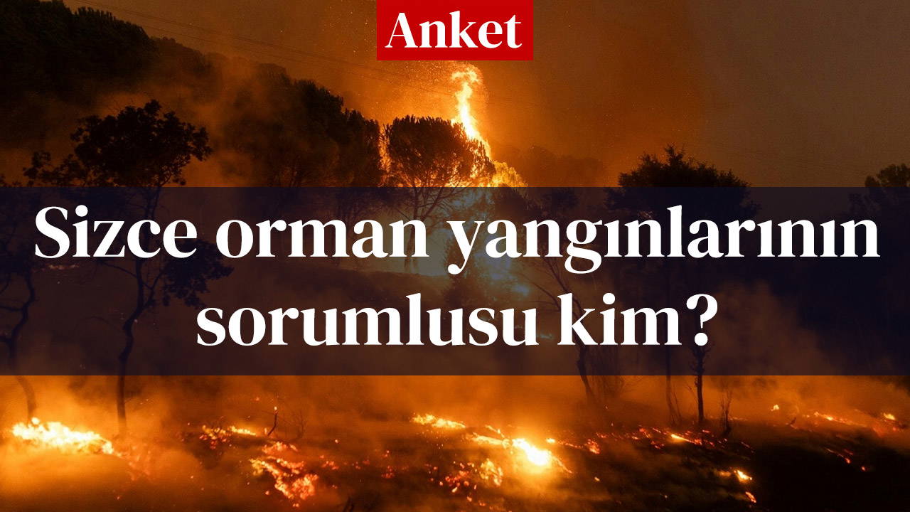 Sizce orman yangınlarının sorumlusu kim?
