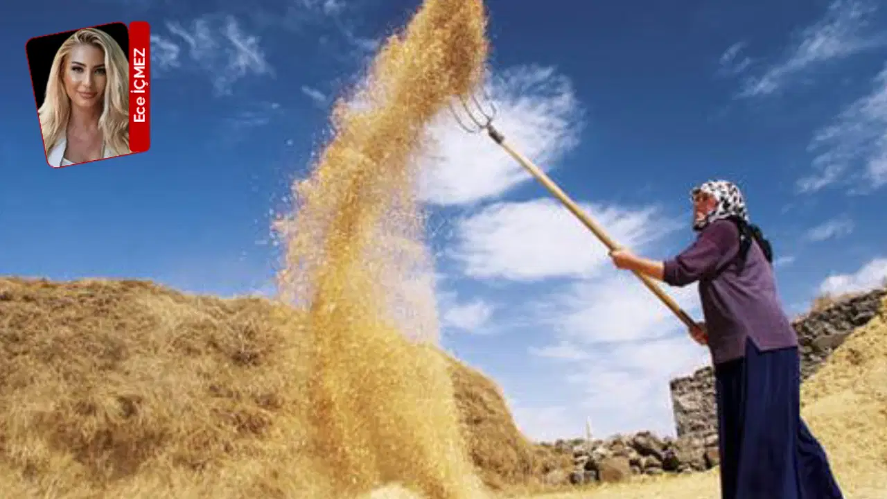 Tarımda çöküş alarmı: 'Çiftçi ayakta kalma mücadelesinde!'