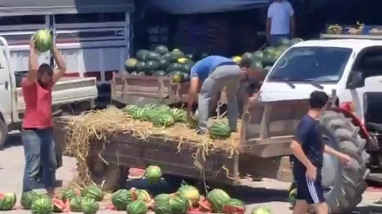 Karpuzları yere atıp parçalayan üreticilere işlem başlatıldı: Ticaret Bakanlığından 'en ağır yaptırımlar uygulanacak' açıklaması!