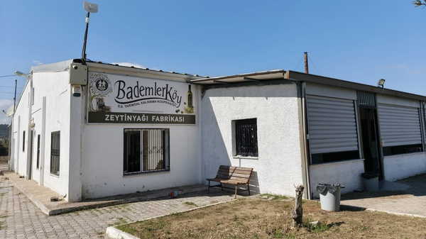 Bademler Kooperatifinde zeytin sıkma sezon başladı