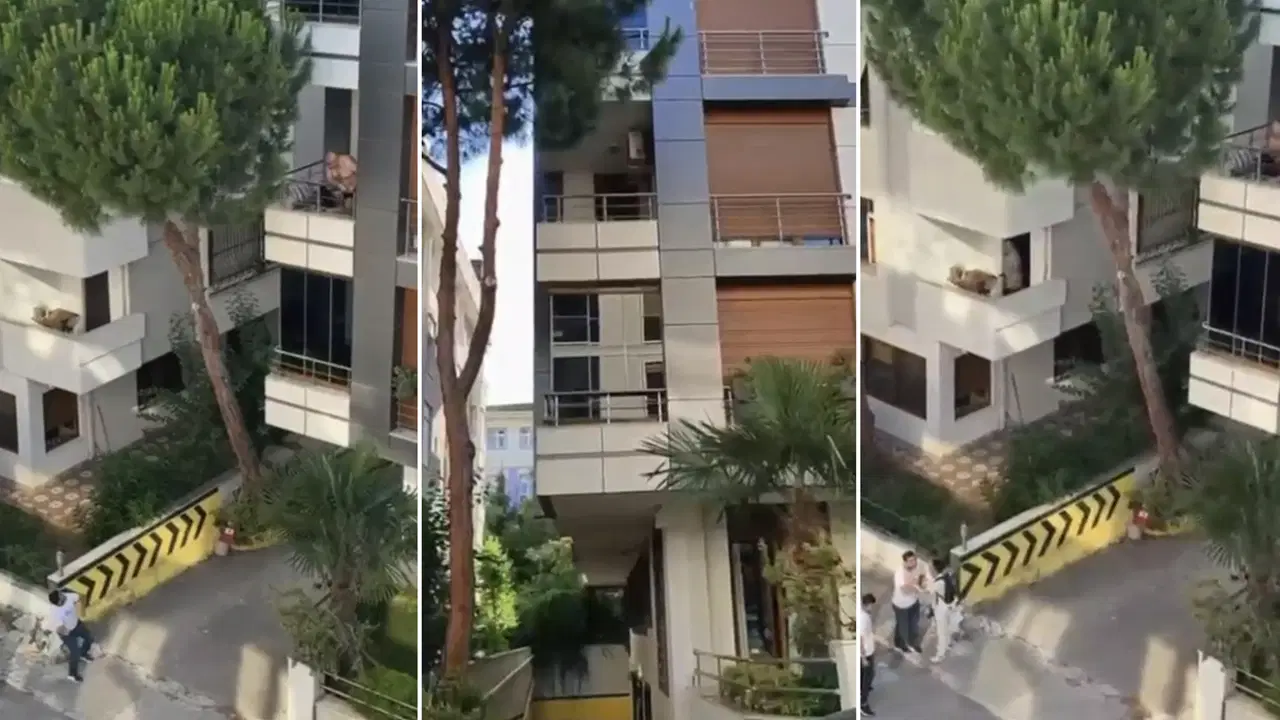Maltepe'de kadına şiddet iddiası mahalleliyi sokağa döktü: Balkondaki şüpheliye taşlı tepki