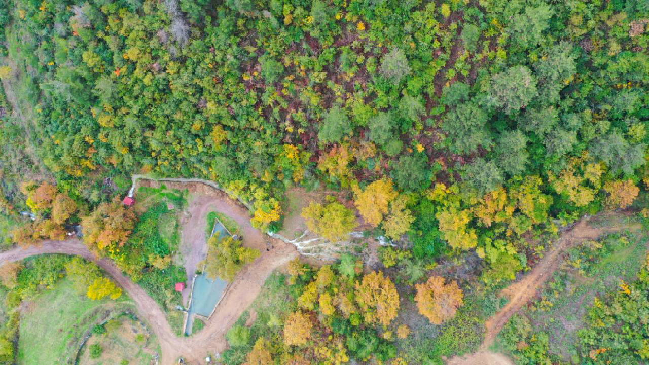 20 yıl önce kurumuştu... 6.1'lik depremin ardından yeniden ortaya çıktı!