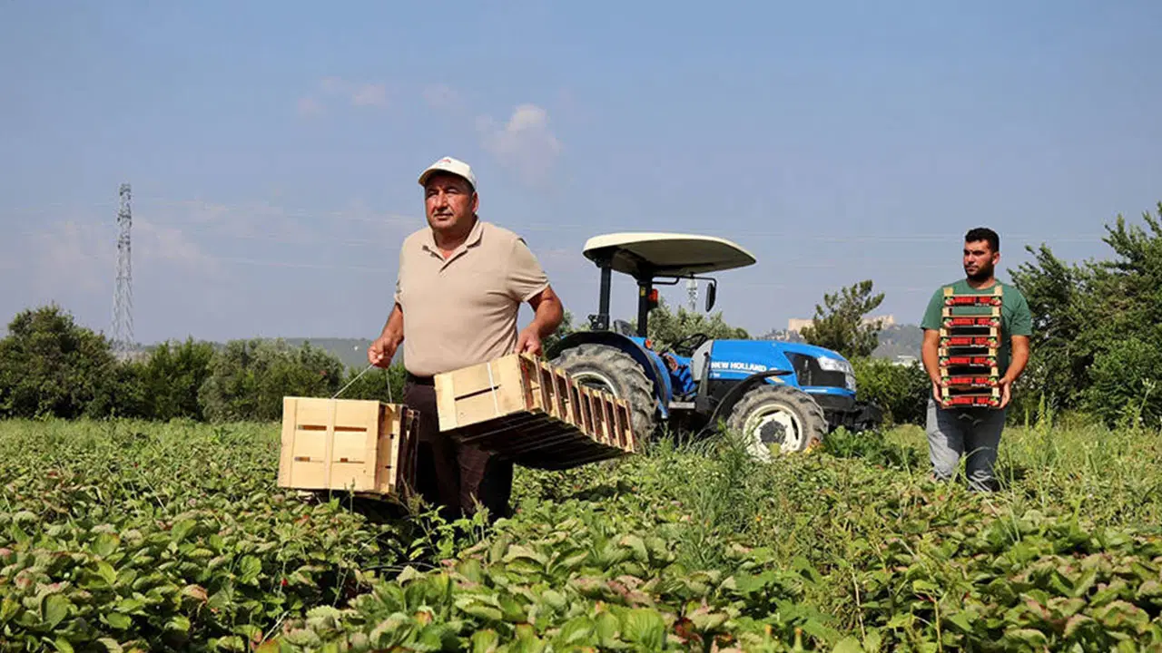 CHP'den EKK toplantısına eleştiri: 'Tarım sizin için rapor olabilir ama...'