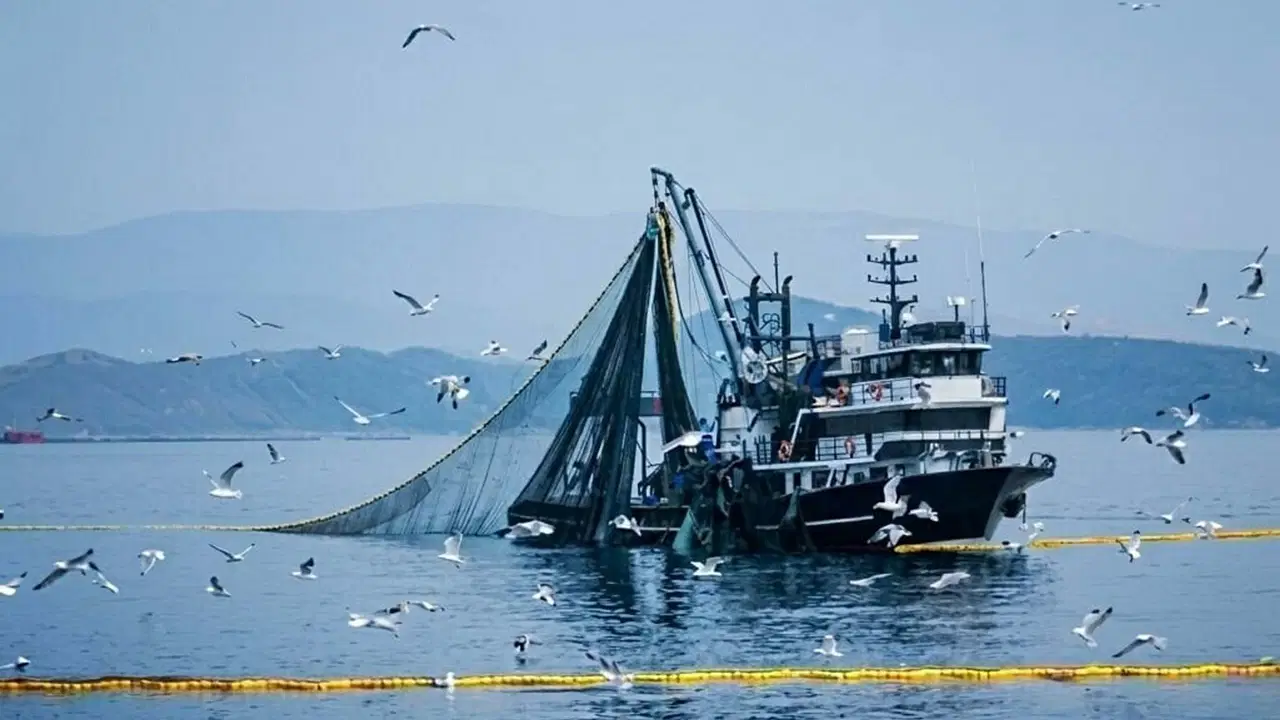 Bakanlık duyurdu: Denizlerde av yasağı başlıyor