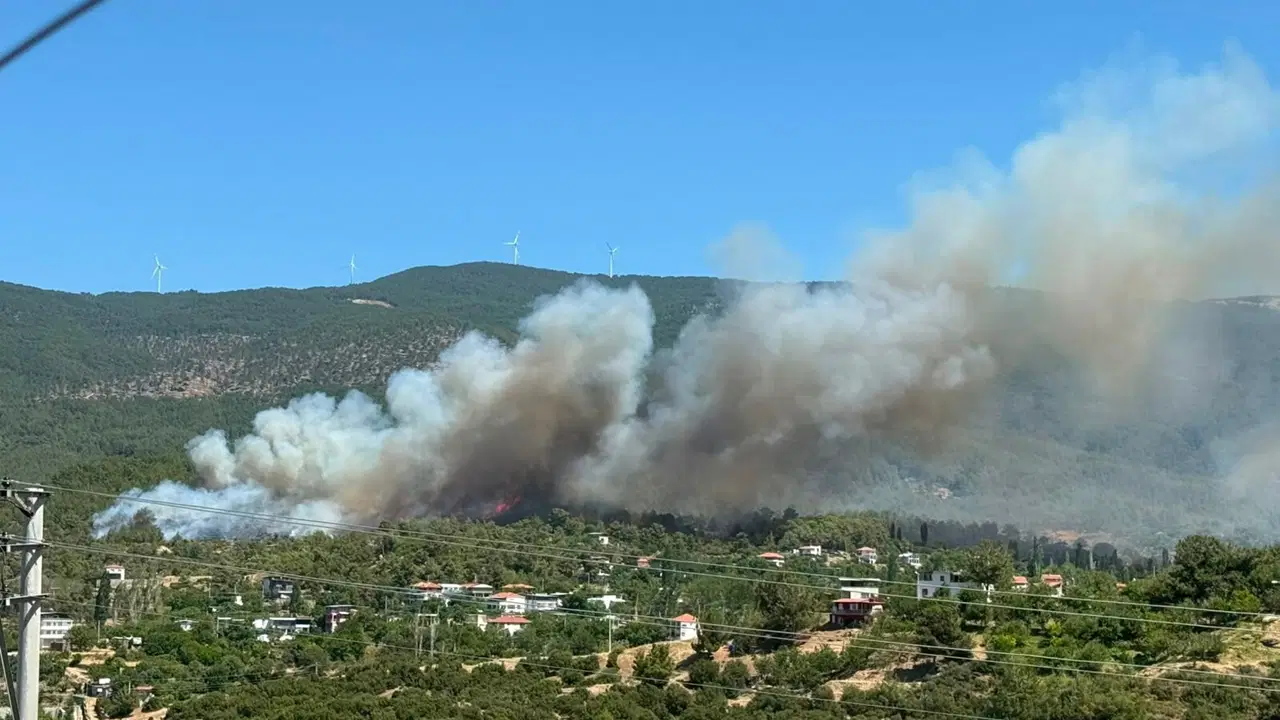Aydın'da orman yangını: Ekipler müdahale ediyor