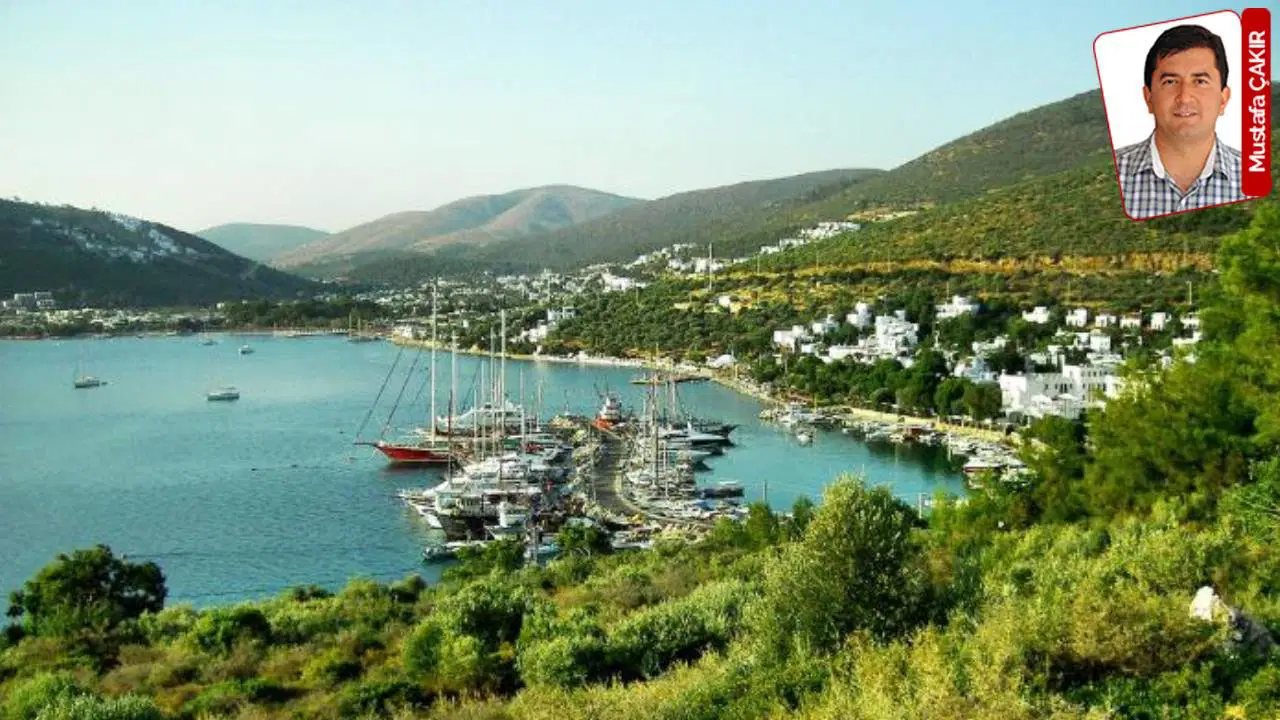 Ormana, koya tesis...