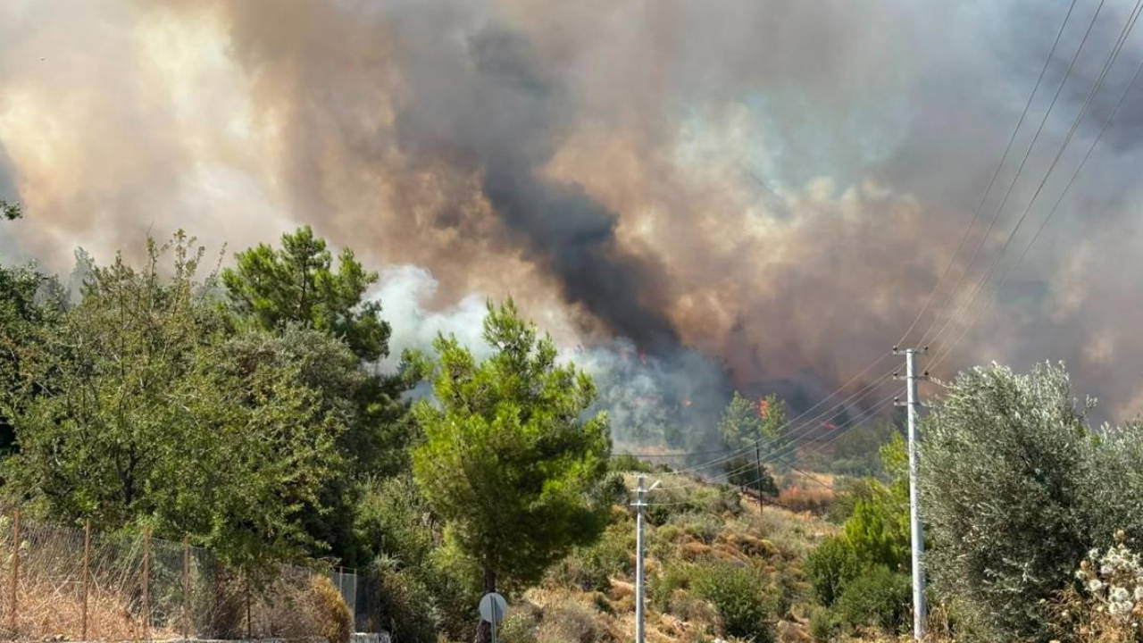 Antalya'nın Kumluca ilçesinde çıkan orman yangını kontrol altına alındı